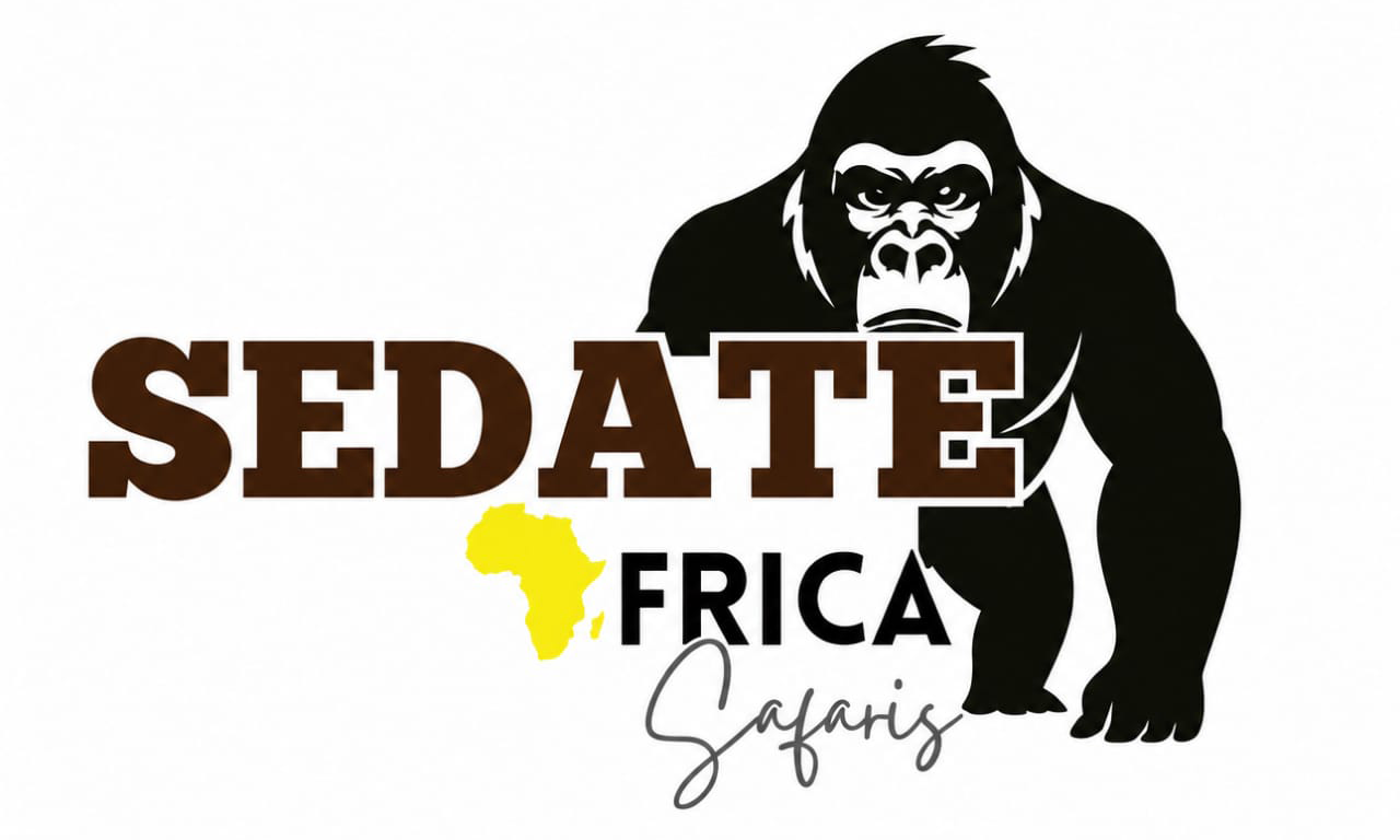 sedate-logo